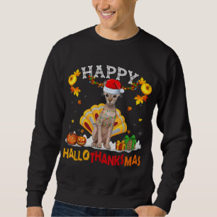Moletom Sphynx Cat Halloween Ação de Graças Hallot