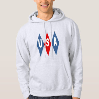 Moletom Sweat à capuche cendre  homme  DESIGN  USA 
