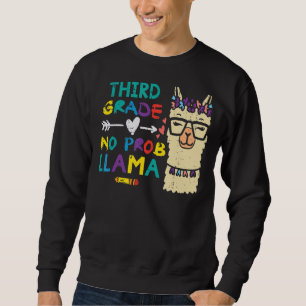 Moletom Terceiro Grau Sem Prob Llama 3º Dia da Escola