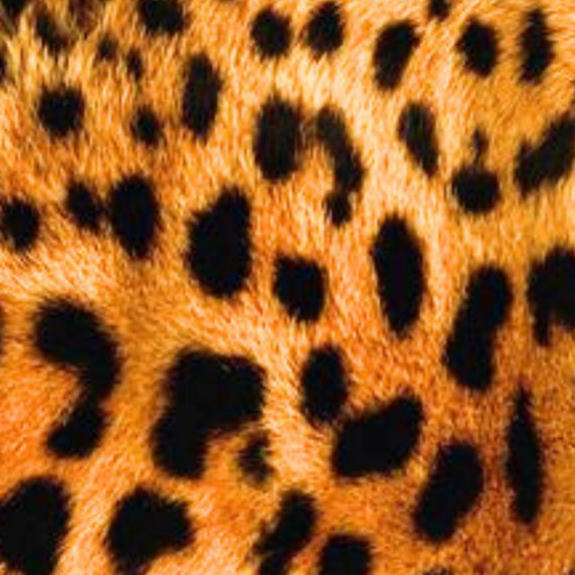 Moletom Unissex (Criador carregado)