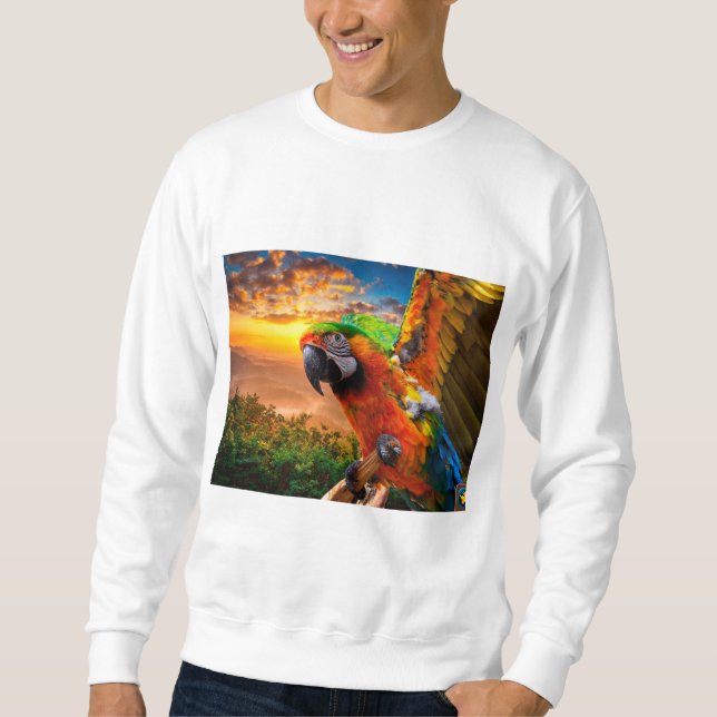 Moletom Vestuário e Calçados > Homens > Vestuário > Hoodie (Frente)