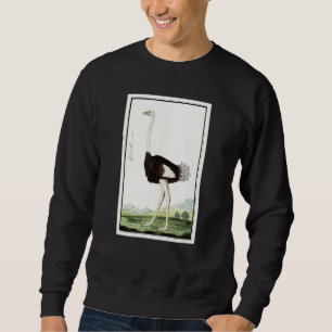 Moletom Vintage Ostrich Bird Ilustração Animal Ostrich L