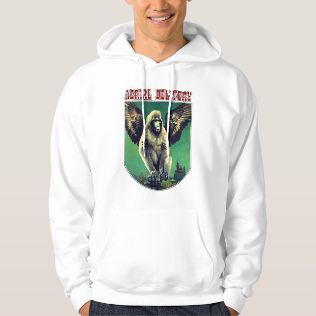 Moletom Vintage Voando Macaco-Macaco Aereiro Hoodie (Frente)