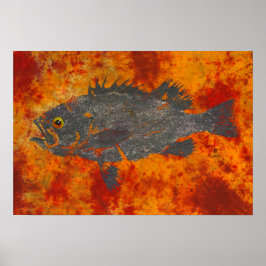 Molten Rockfish - Poster de 19" x 13"