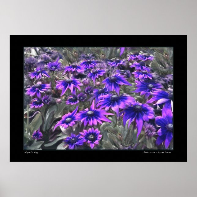 Momento negro na Poster Gloriosa (Frente)