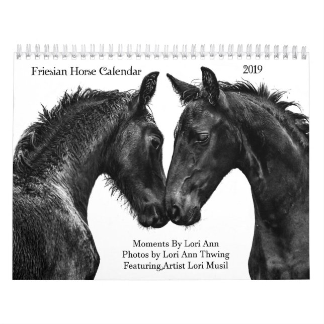 Momentos 2019 do calendário do cavalo do frisão (Capa)