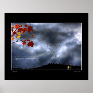 Momentos da Poster de Maravilha - citação de Helen