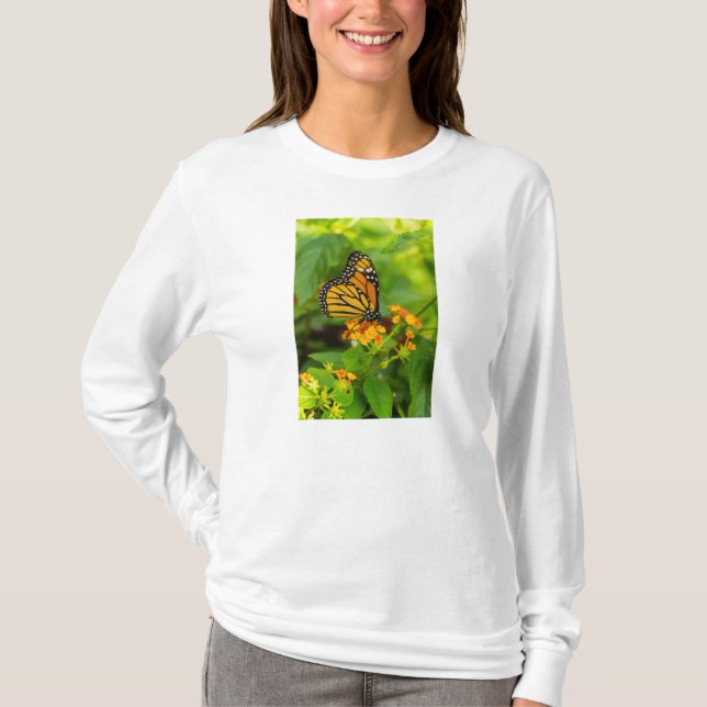 Monarca Na Camiseta De Lantana De Leve Longa (Frente)