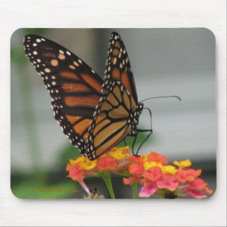 Monarca no Lantana Mousepad