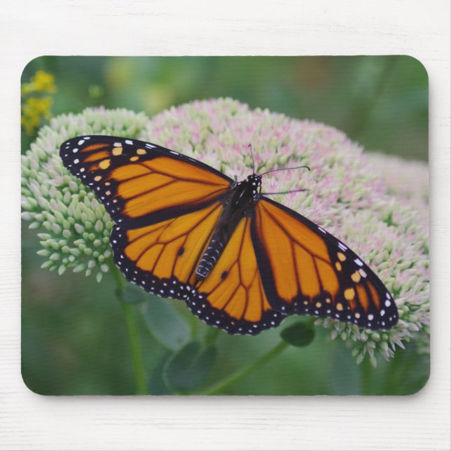 Monarch Butterfly Mouse Pad (Frente)