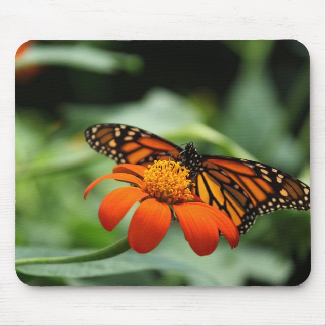 Monarch Butterfly Mousepad (Frente)
