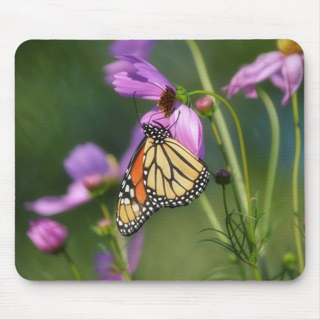 Monarch Butterfly On Pink Flowers Mousepad (Frente)