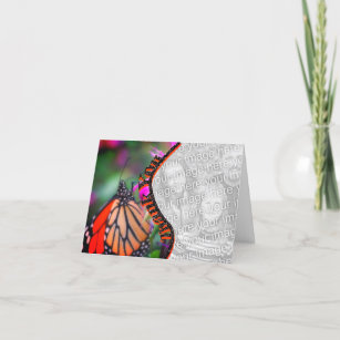 Monarch Butterfly Seu Cartões de agradecimentos Fo