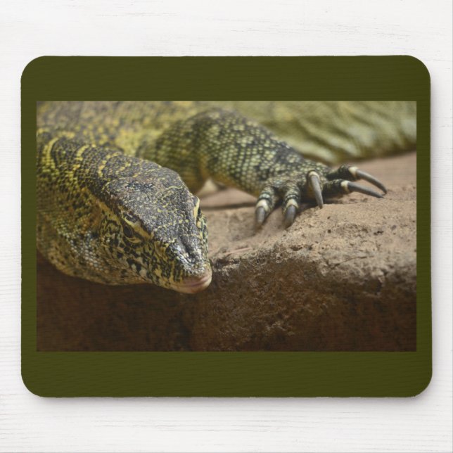 Monitor de Nilo de Répteis Lizard Mousepad (Frente)