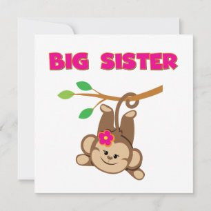Monkey Big Sister