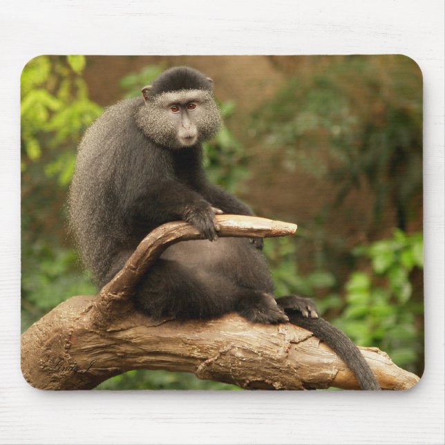 Monkey Mousepad (Frente)