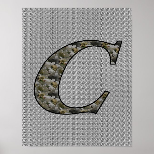 Monograma inicial C Hydrangea Floral Poster (Frente)