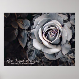 Monotone Rose [Value Poster Paper]