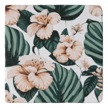 Monstera deixa hibisco