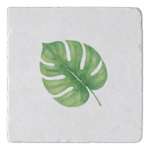 Monstera Gren Leaf