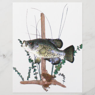 Montagem Crappie