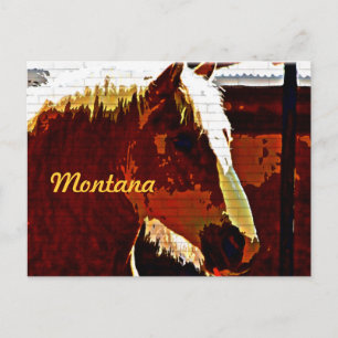 Montana, Cavalo Sorrel de Perfil Cartão Postal