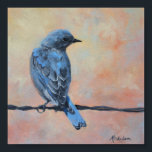 Montanha Bluebird Fine Art Impressão (Pequeno)<br><div class="desc">Os pássaros-azuis de montanha são bastante comuns nas estações de primavera e verão nas regiões montanhosas do Colorado e Wyoming. Os machos são especialmente coloridos, e a brilhante listra de azul brilhante é duro de falhar enquanto se dobra. Esta imagem é de uma pintura de óleo original de um artista...</div>