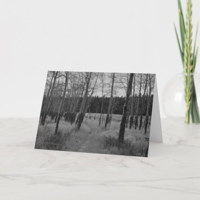 Montanha rochosa Aspen, cartão de nota pela marca (Frente)