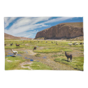 Montanhas Andes bolivianos