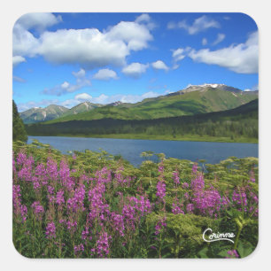Montanhas Chugach - Autocolantes