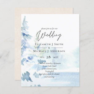 Montanhas de neve do orçamento das árvores de inve