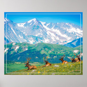 Montanhas poster e Elk