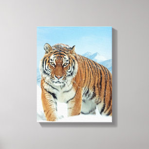 Montanhas Tiger Snow Canvas de Fotos Naturais de i