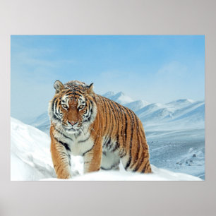 Montanhas Tiger Snow Impressão de Foto Natural de 