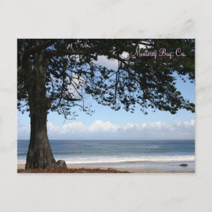 Monterey Bay, Ca. Cartão postal
