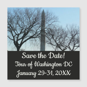 Monumento a Washington na paisagem do inverno I