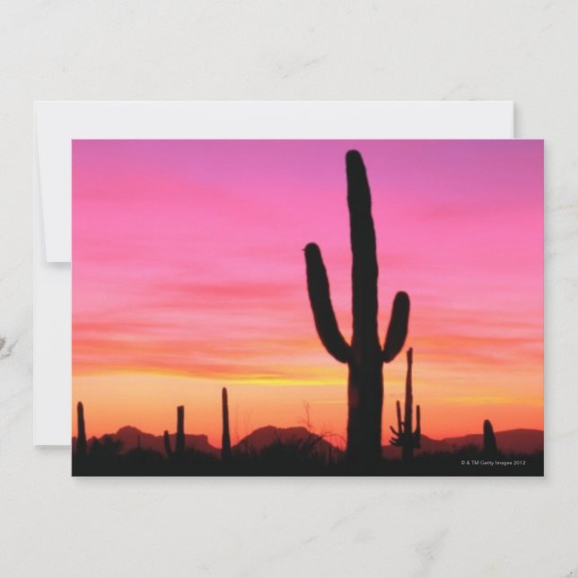 Monumento Nacional da Pipe Orgânica (Frente)