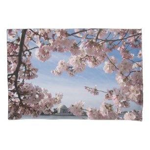 Monumentos   Jefferson Memorial Cherry Blossoms