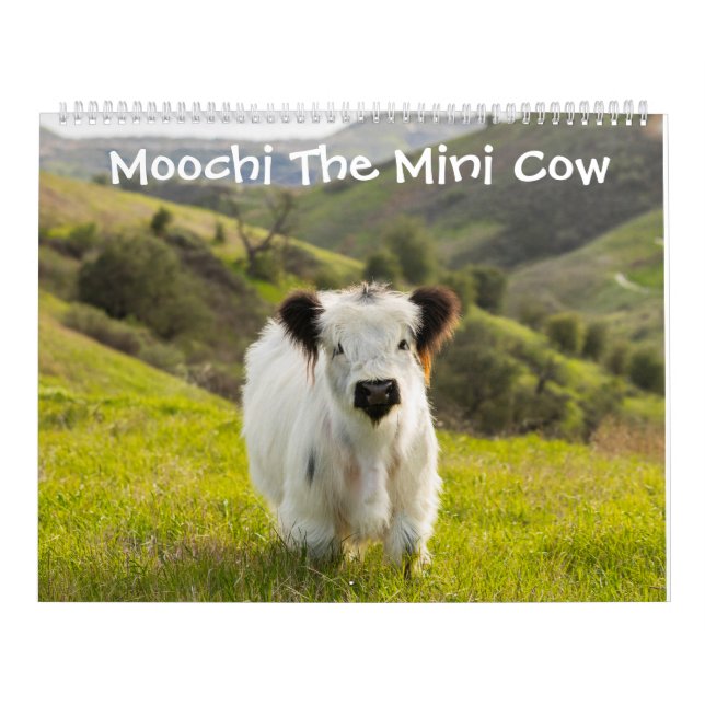 Moochi o mini calendário da vaca (Capa)