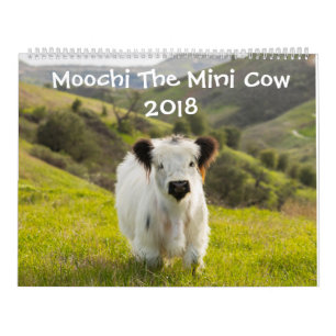 Moochi o mini calendário da vaca 2018