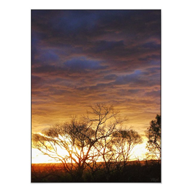 Moodscapes : Foto de Arte Viva (Frente)