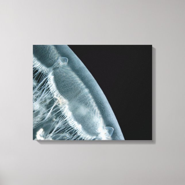 Moon Rise Canvas (Frente)