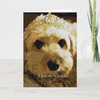 Mooncards, Cavapoo, princesa, cartão do animal de