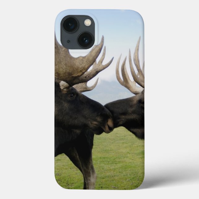Moose (Verso)