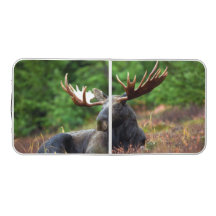 Moose