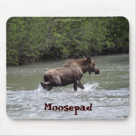 Moose Canadense Funny Wildlife Mousepad