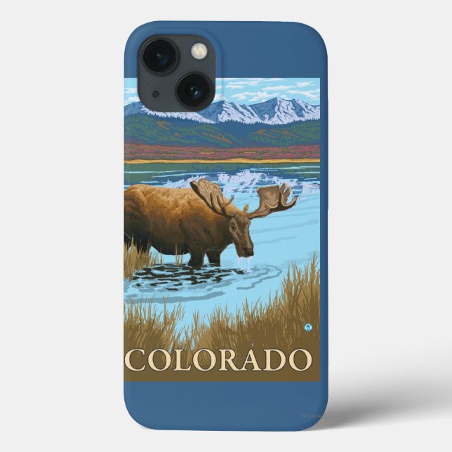 Moose DrinkingColorado (Verso)