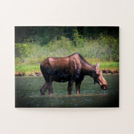 Moose Quebra-cabeça