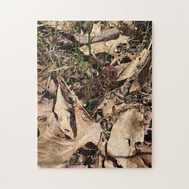 Morel Quebra-cabeça (Vertical)