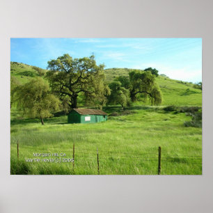 Morgan Hill Meadow Impressão - Selecione seu quadr